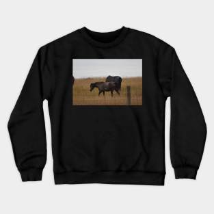 Dark Brown Wild Horse Crewneck Sweatshirt